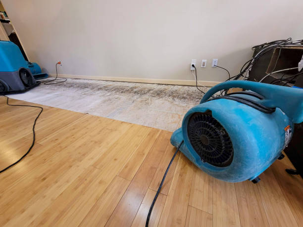 Professional Water Extraction technician working in Fremont, MI